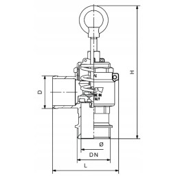 Apsauginis vožtuvas 1 1 2 colių riv250