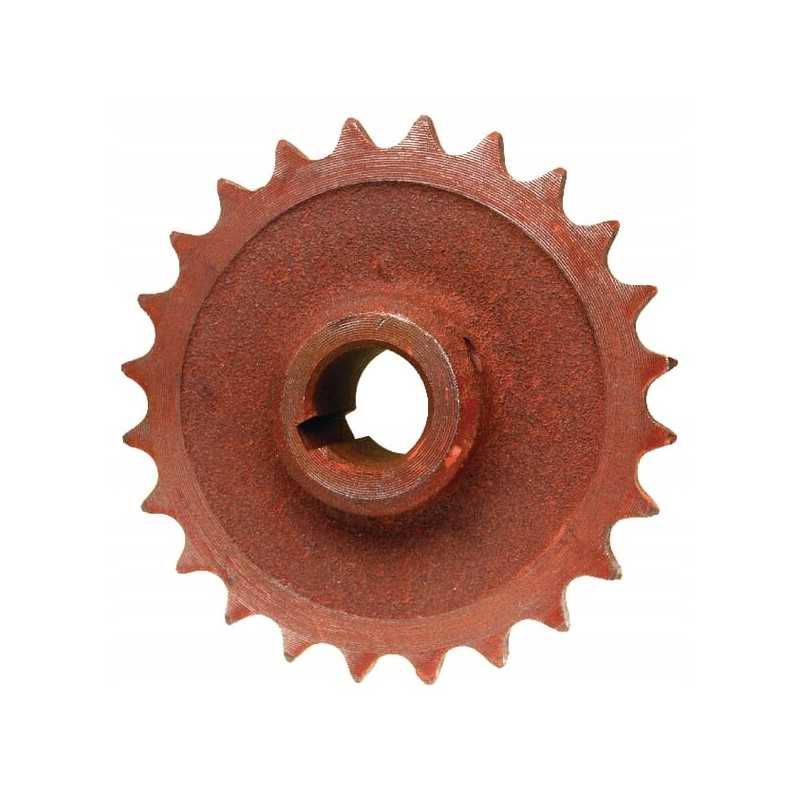 Grandinės žvaigždutės grandinė 3 4 oe 30 su 24