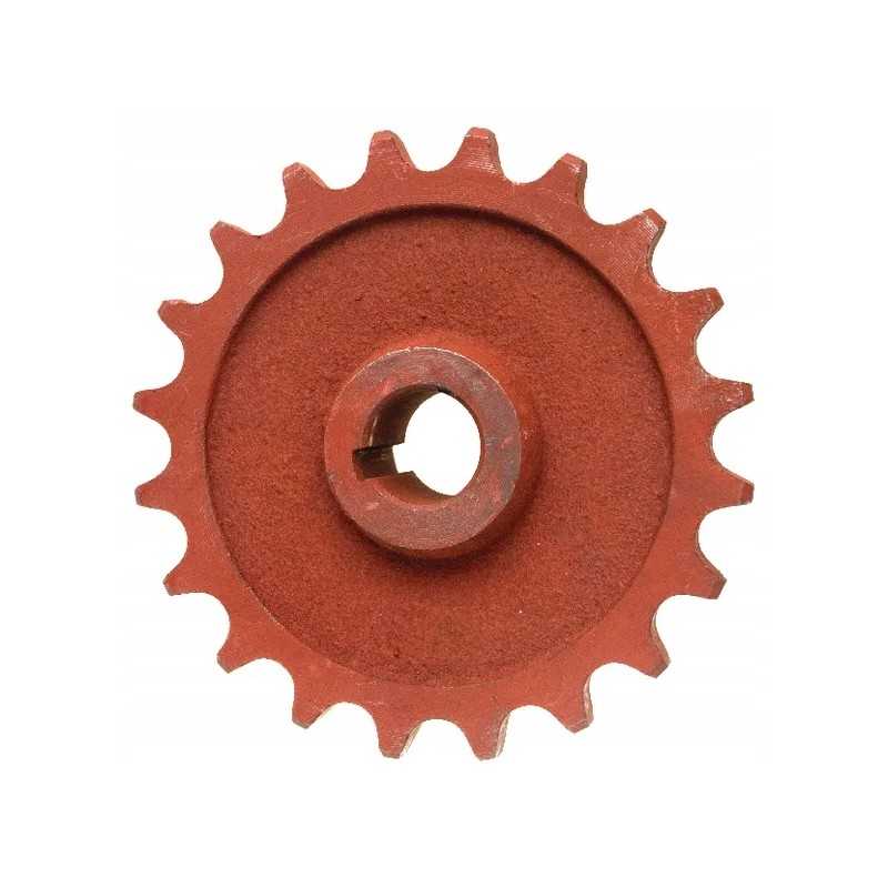 Grandinės žvaigždutės grandinė 1 arba 30 su 20