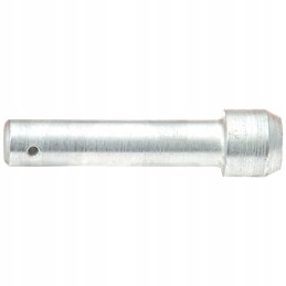 Barstytuvo rnz pavaros kaištis 2012060500