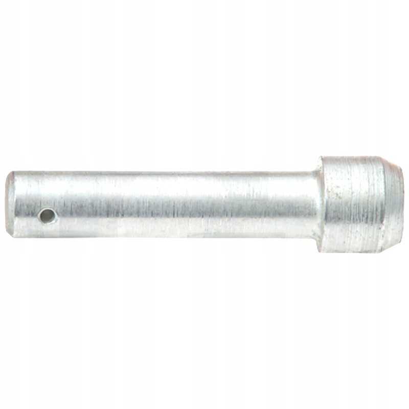 Barstytuvo rnz pavaros kaištis 2012060500