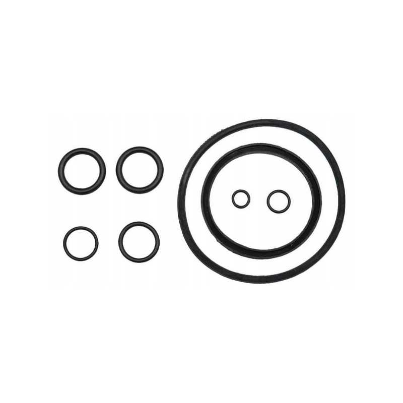 Apatinis siurbimo filtro tarpiklis senas 65004055070