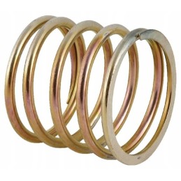 Uždarymo disko spyruoklė rnz 53952012020130