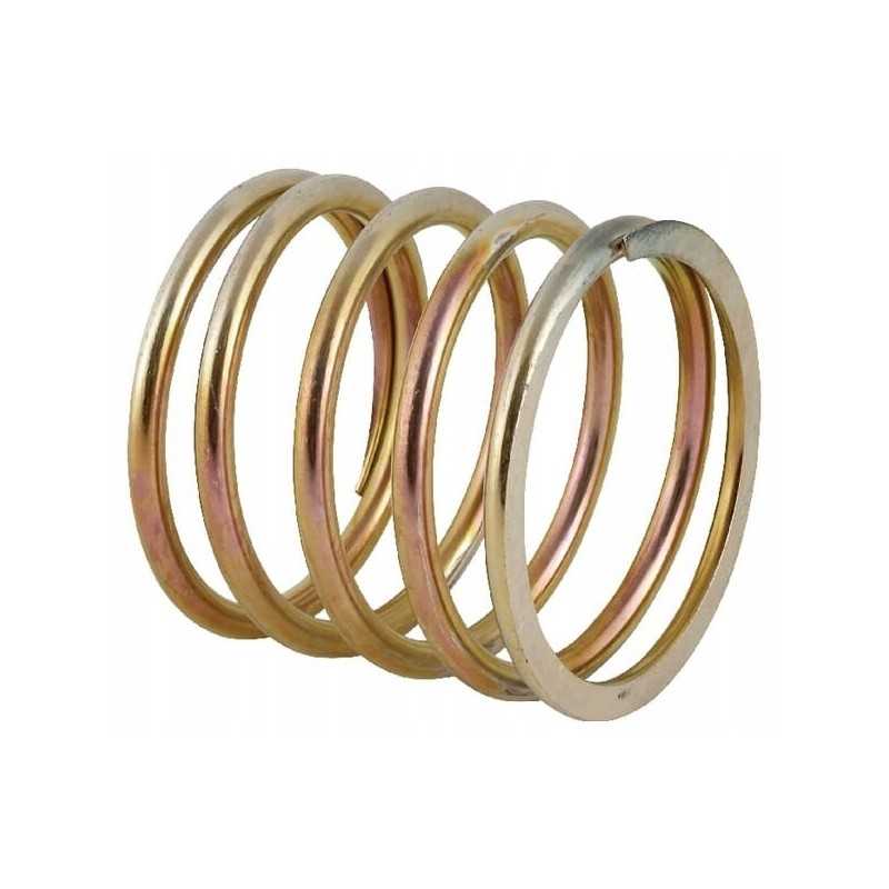 Uždarymo disko spyruoklė rnz 53952012020130