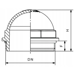 Speculum 2 colių riv550