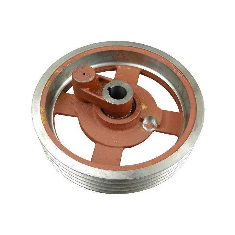 Didelis skriemulys su pavara rotorinei žoliapjovei