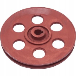 Dalgio barstytuvo skriemulys su grioveliais