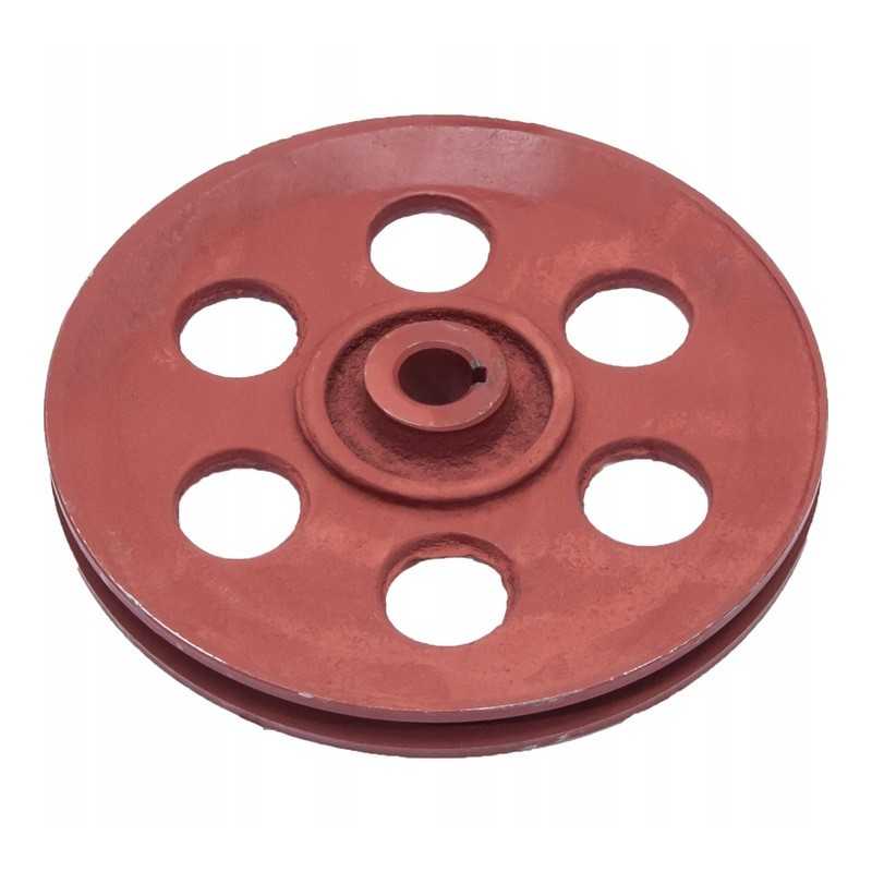 Dalgio barstytuvo skriemulys su grioveliais