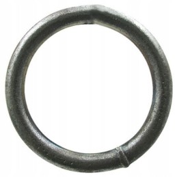 Žiedas 4603r08050000 50 mm