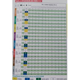 Albuz Avi Twin 05 dvigubo purkštuko lauko antgalis