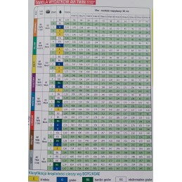 Albuz Avi Twin 05 dvigubo purkštuko lauko antgalis