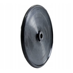 Slėgio diafragminis siurblys p 120 Biardzki 10x123x12