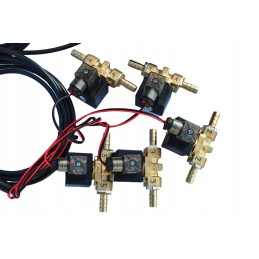 Elektrinis purkštuvo valdymas, 5 sekcijų