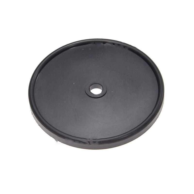 Slėgio diafragminis siurblys p 90 bury 12 5x120x10 8