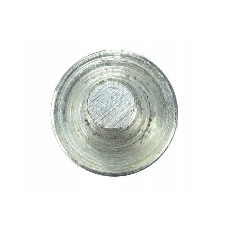 Specialus varžtas rūgšties siurbliui, skirtas p 40 siurbliui