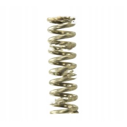 Purkštuvo vožtuvo sekcijos spyruoklė 4031090090 pr