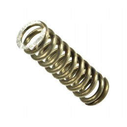 Purkštuvo vožtuvo sekcijos spyruoklė 4031090090 pr