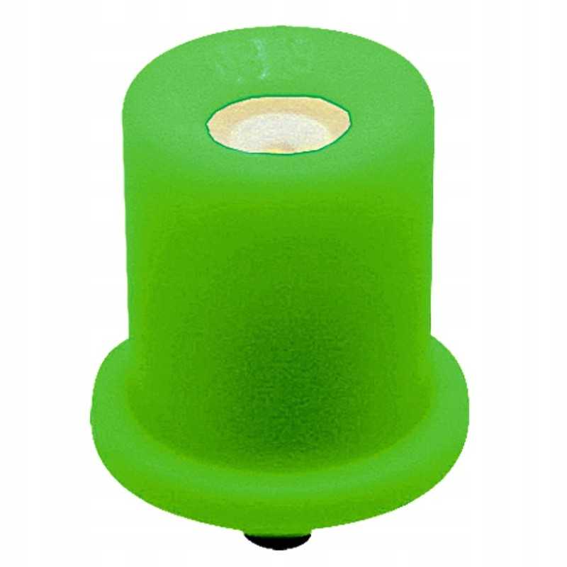 Purkštuvo kūginis antgalis 80 laipsnių, žalias Lechler