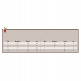 Žarnos galas 6701190520 arag