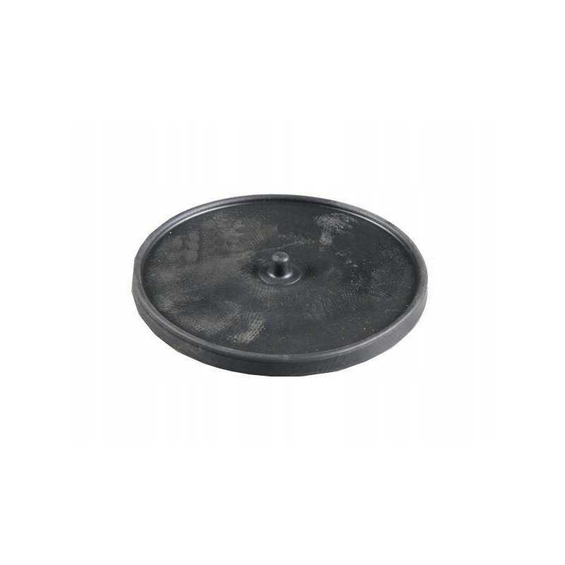 Pagrindinė diafragma rau fi120 20x120x10