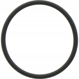 Annovi reverberi oring oe 23 52 x 1 78 mm