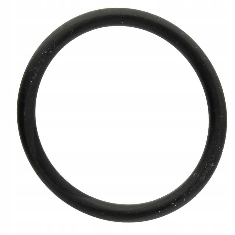 Annovi reverberi oring oe 29x3mm