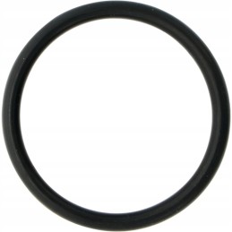Filtro vožtuvas u2 45 tinklelis oe40x4mm