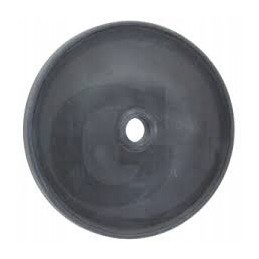 Slėgio diafragma 10x123x12 p 120 Biardzki W19699