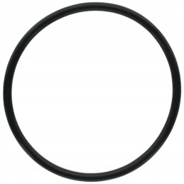 Arag O-žiedas filtro korpusui, versija 126, 4 x 7 mm t