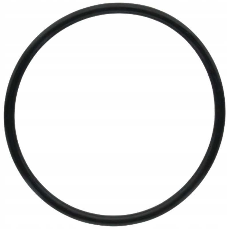 Arag O-žiedas filtro korpusui, versija 126, 4 x 7 mm t