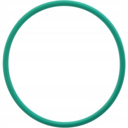 Annovi reverberi oring viton