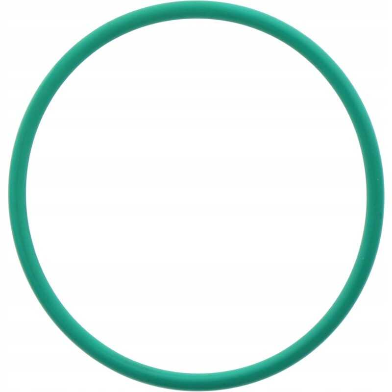 Annovi reverberi oring viton