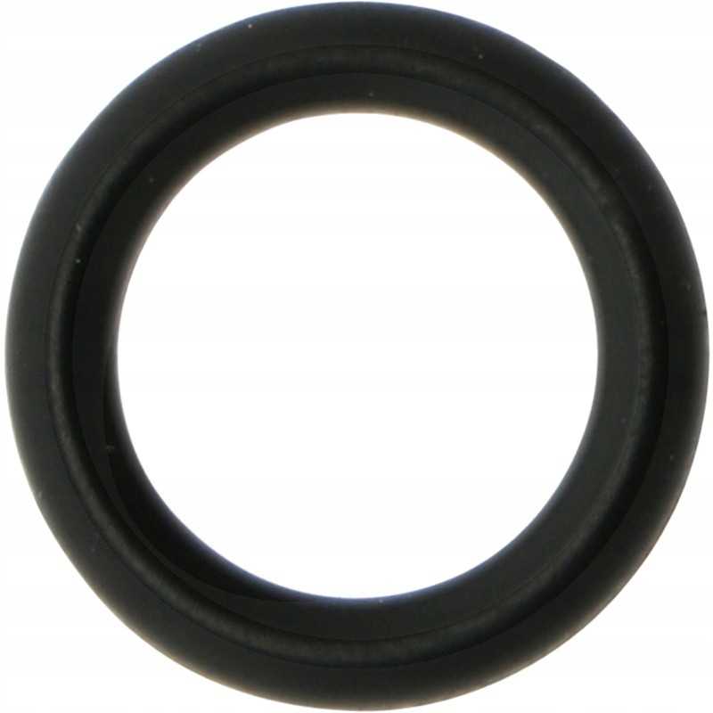 Braglia sandarinimo žiedas Nr. oe 10 78 x 2 62 mm m65 m75 m7