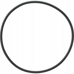 Aps 96 Comet diafragminis siurblys oe 2 62 x 71 12 mm