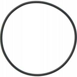 Aps 96 Comet diafragminis siurblys oe 2 62 x 71 12 mm