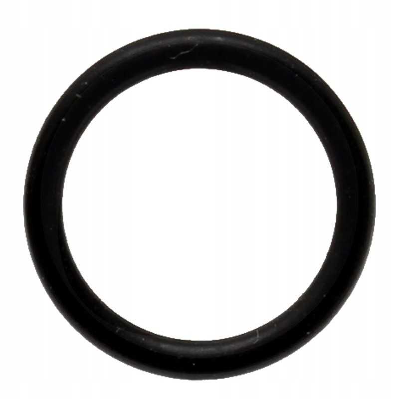 Lechler O-ring EPDM nuotrauka Nr.2