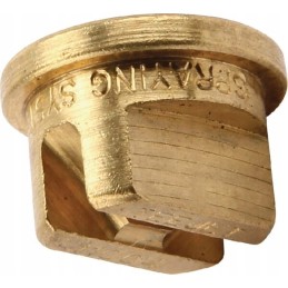 Teejet antgalis žalvaris