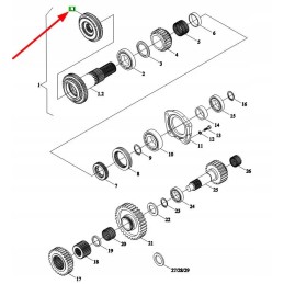 Tb604 372t 3 sinchronizatorius