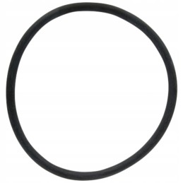 O žiedas filtro įdėklui 670314300060 arag