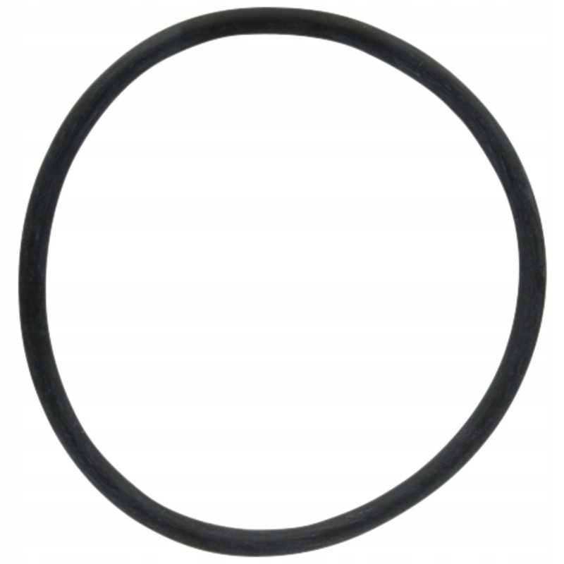 O žiedas filtro įdėklui 670314300060 arag