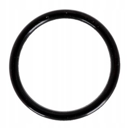 Oring 29 2x3mm hardi purkštuvas 241441