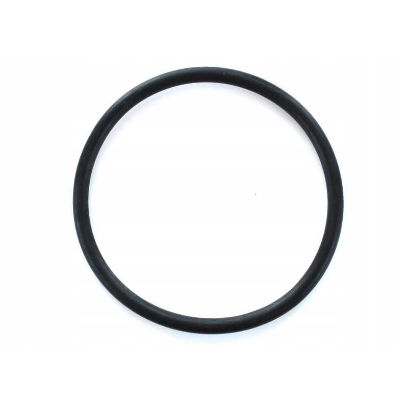 Oring 53 57x3 53mm slėgio filtro tarpinė