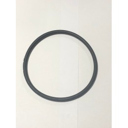 Siurbimo filtro sandarinimo žiedo tarpinė arag 3162073
