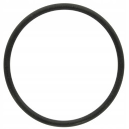 O žiedas filtro korpusui 670g11026nb arag