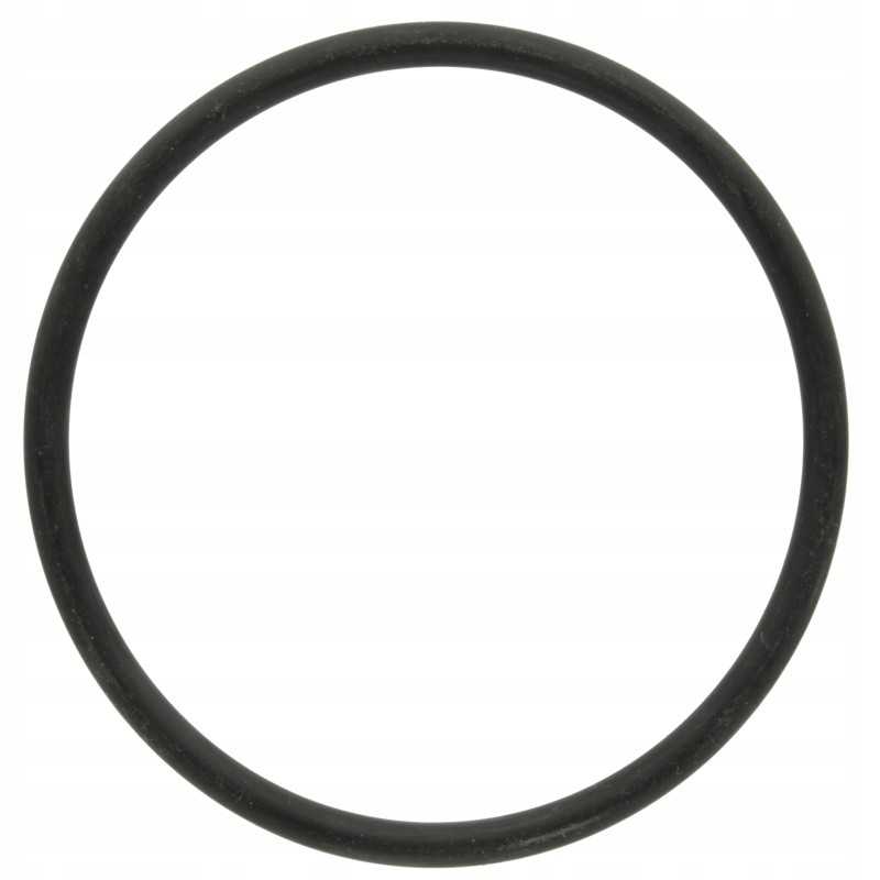 O žiedas filtro korpusui 670g11026nb arag