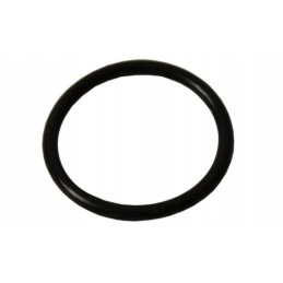 Oringas, purkštuvo alkūninis sandariklis, AP21OR19X3