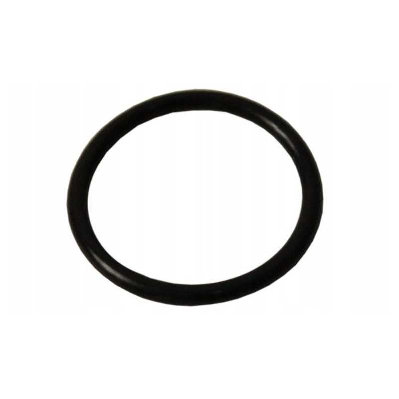 Oringas, purkštuvo alkūninis sandariklis, AP21OR19X3