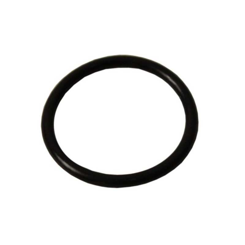 Oringas, purkštuvo alkūninis sandariklis, AP21OR19X3