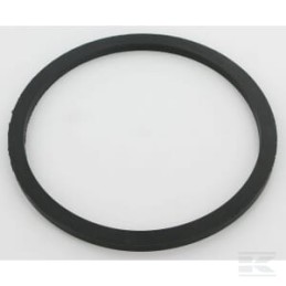 Bako dangčio tarpinė