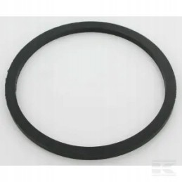 Bako dangčio tarpinė